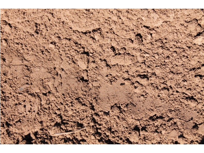 95 Twyford Rd, Electra QLD 4670