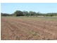 95 Twyford Rd, Electra QLD 4670