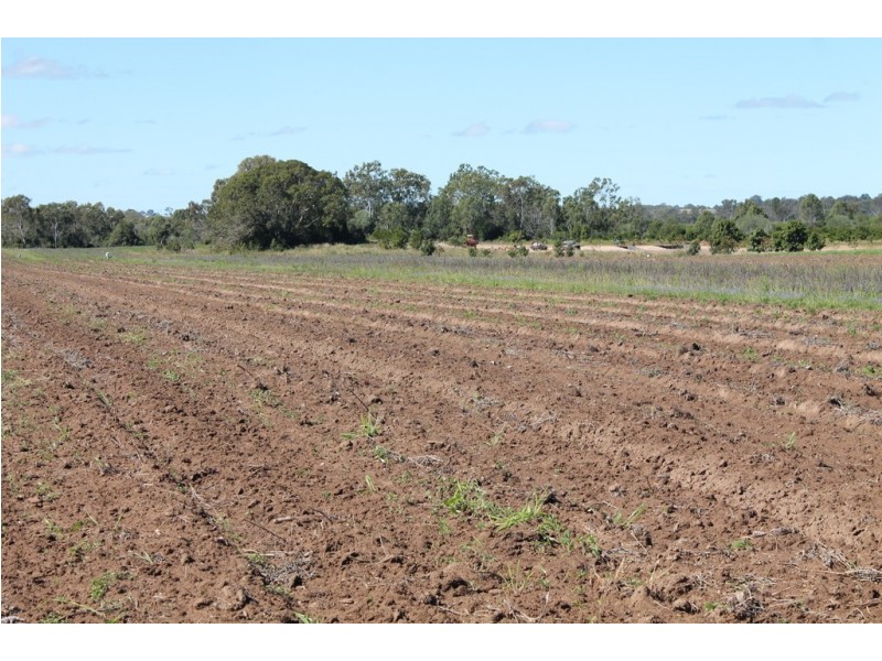 95 Twyford Rd, Electra QLD 4670