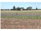 95 Twyford Rd, Electra QLD 4670