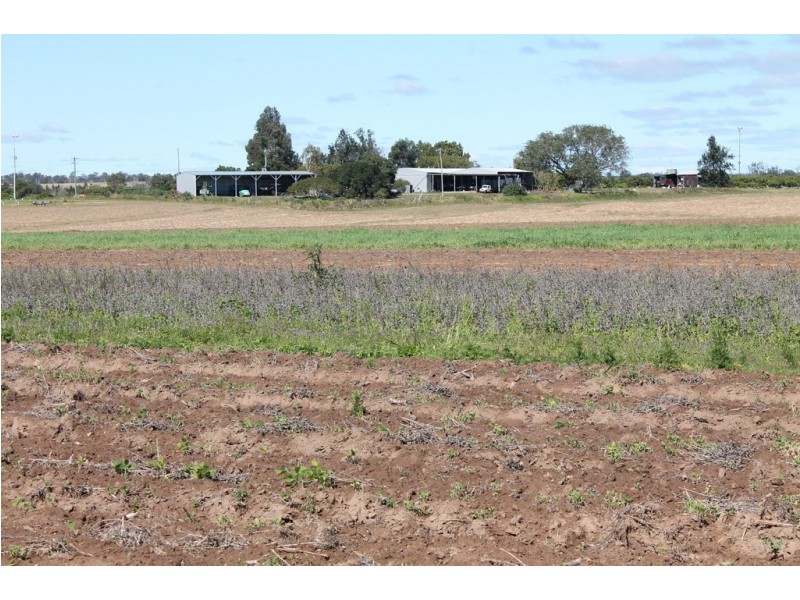 95 Twyford Rd, Electra QLD 4670