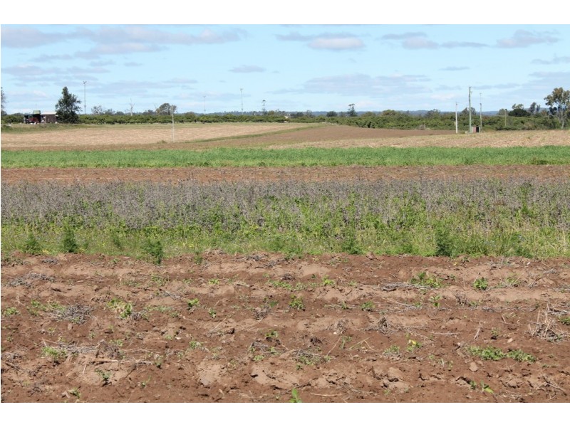 95 Twyford Rd, Electra QLD 4670