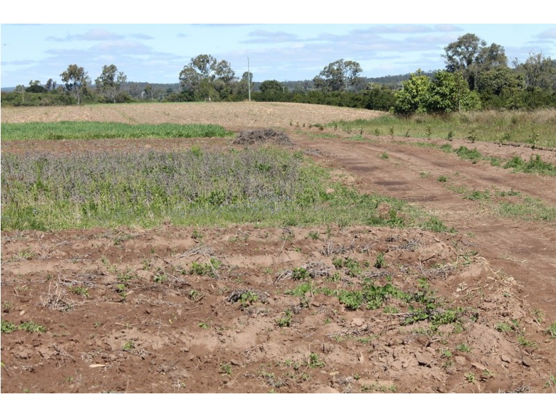 95 Twyford Rd, Electra QLD 4670