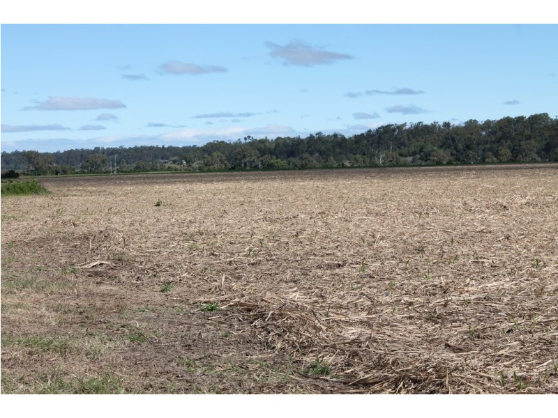 95 Twyford Rd, Electra QLD 4670