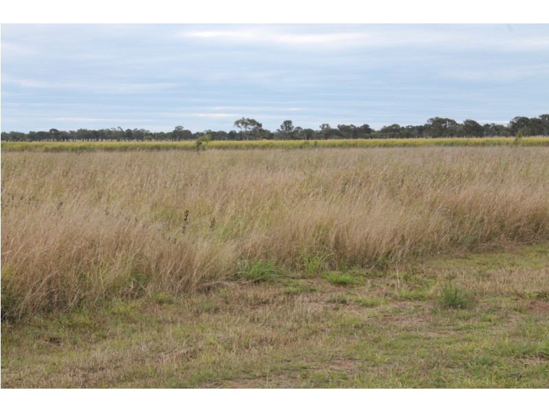 179 Fairymead Road, Bundaberg North QLD 4670