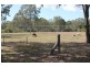 189 Maiseys Road, Yandaran QLD 4673