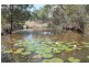 82 Bishops Road, Dalysford QLD 4671