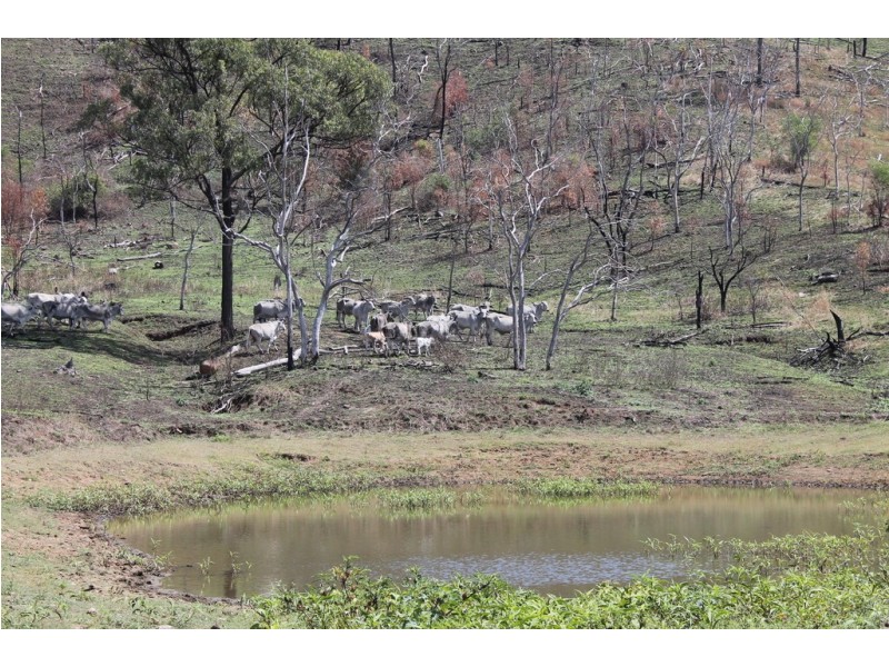 0 Joses Road, New Moonta QLD 4671