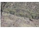0 Joses Road, New Moonta QLD 4671