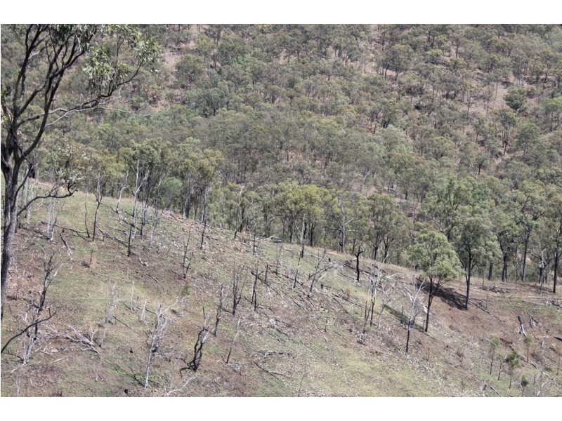 0 Joses Road, New Moonta QLD 4671