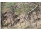 0 Joses Road, New Moonta QLD 4671
