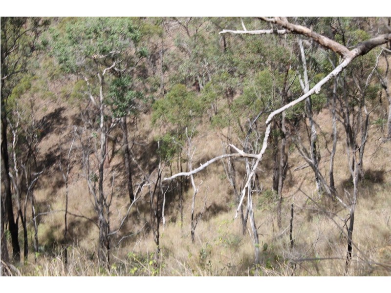 0 Joses Road, New Moonta QLD 4671
