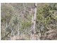 0 Joses Road, New Moonta QLD 4671