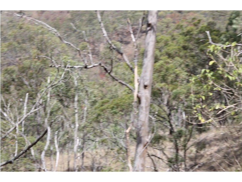 0 Joses Road, New Moonta QLD 4671