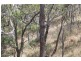 0 Joses Road, New Moonta QLD 4671