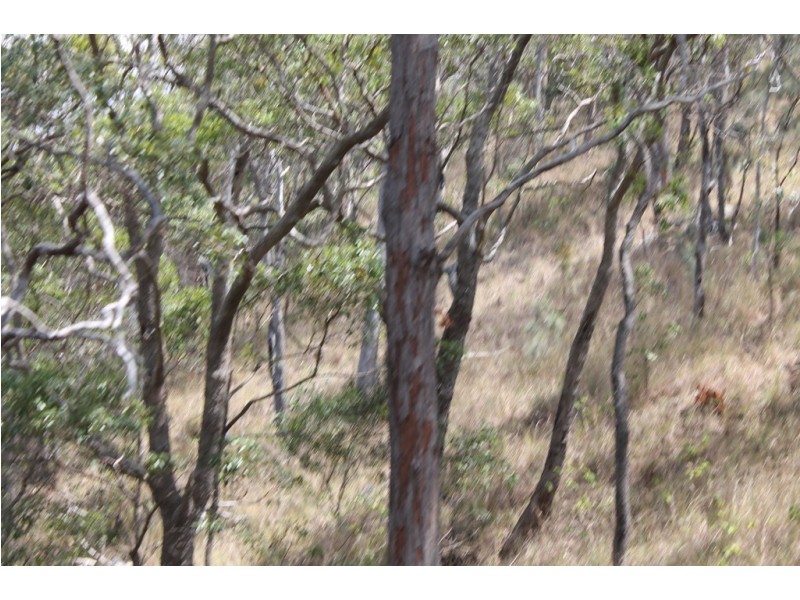 0 Joses Road, New Moonta QLD 4671