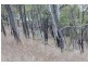 0 Joses Road, New Moonta QLD 4671
