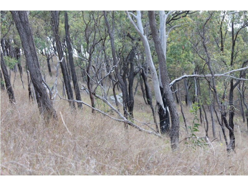 0 Joses Road, New Moonta QLD 4671