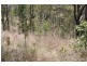 0 Joses Road, New Moonta QLD 4671