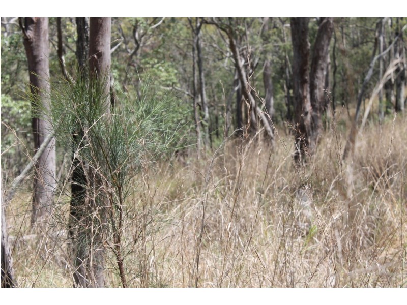 0 Joses Road, New Moonta QLD 4671