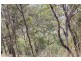 0 Joses Road, New Moonta QLD 4671