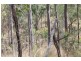 0 Joses Road, New Moonta QLD 4671