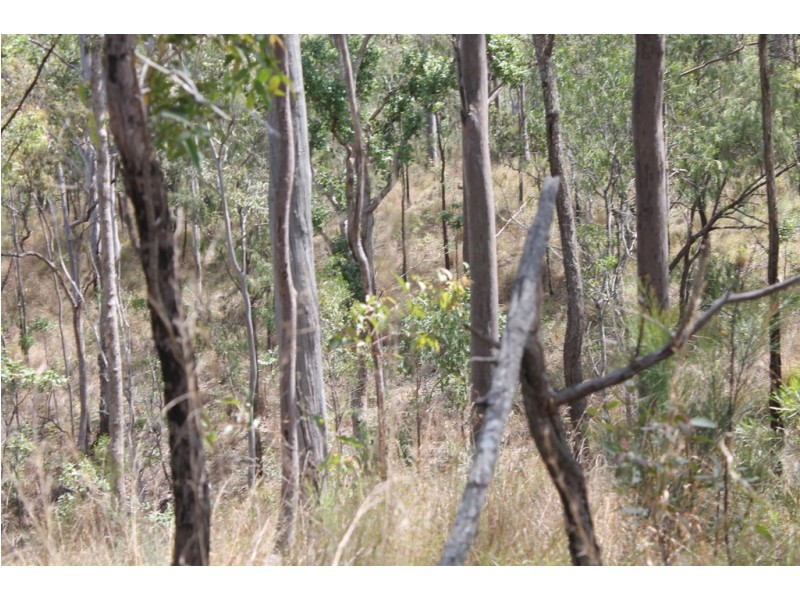 0 Joses Road, New Moonta QLD 4671