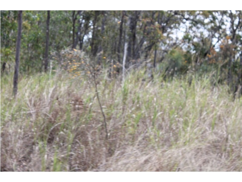 0 Joses Road, New Moonta QLD 4671