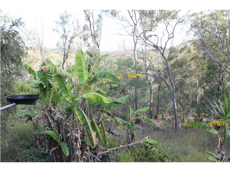 85 Michelles Road, Horse Camp QLD 4671