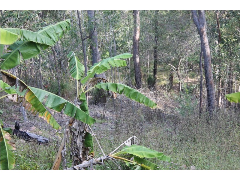 85 Michelles Road, Horse Camp QLD 4671