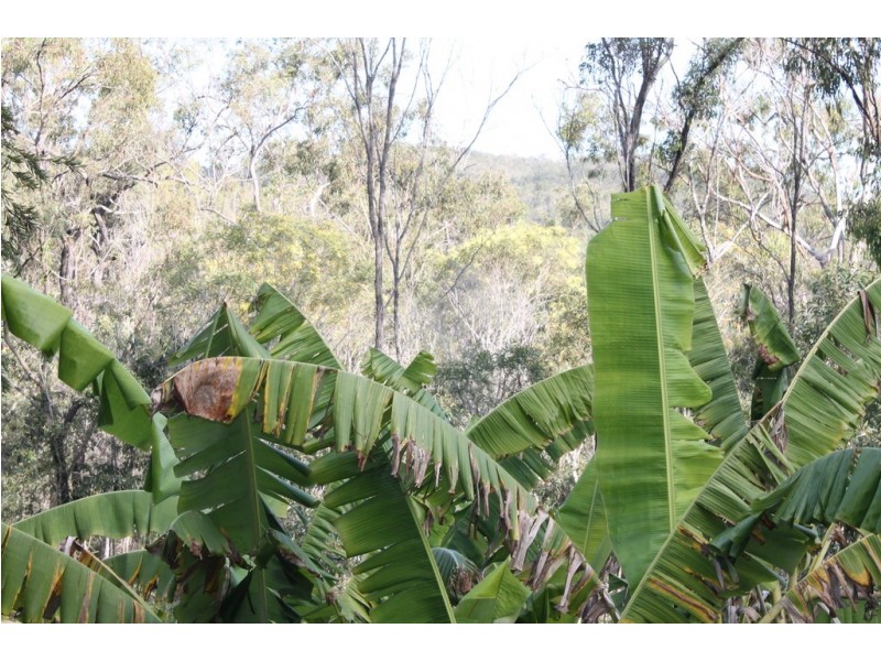 85 Michelles Road, Horse Camp QLD 4671