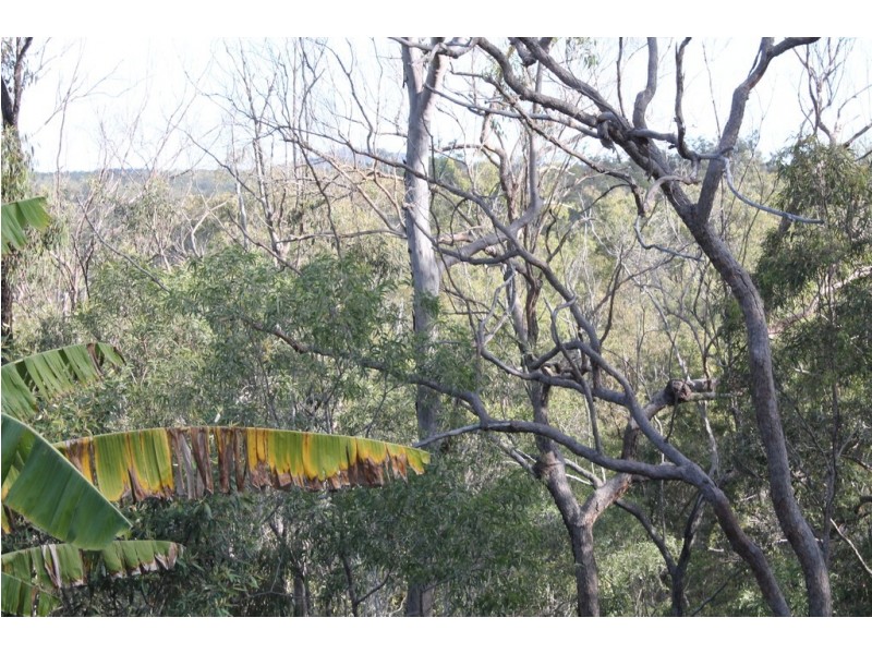 85 Michelles Road, Horse Camp QLD 4671