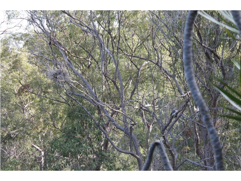 85 Michelles Road, Horse Camp QLD 4671