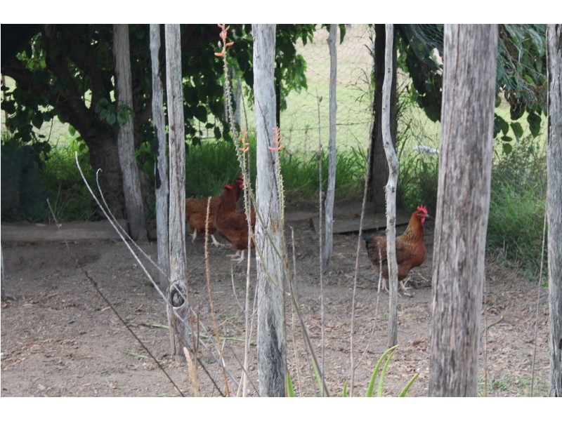 89 Chavasse Drive, Wonbah QLD 4671