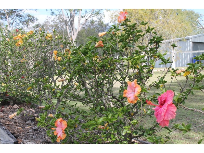 89 Chavasse Drive, Wonbah QLD 4671