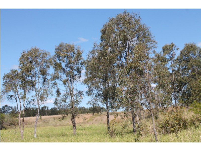 Moorland QLD 4670