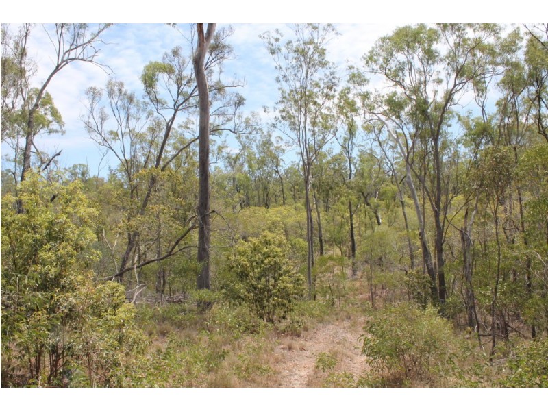 Lot 3 Rows Road, Duingal QLD 4671