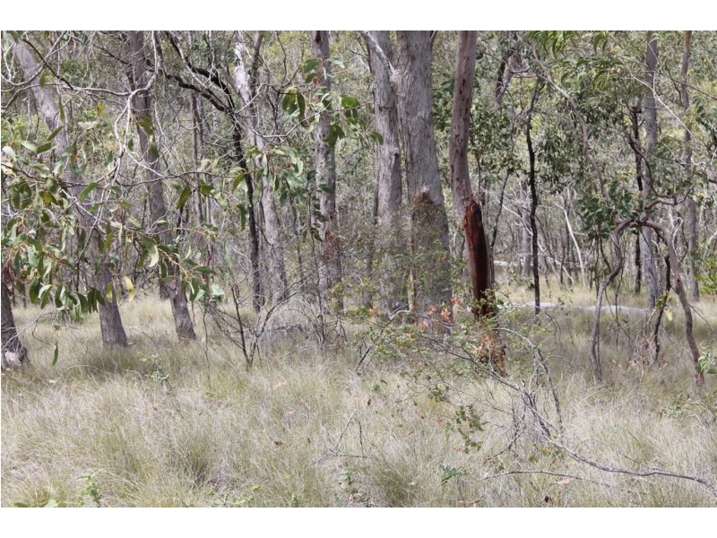 Lot 3 Rows Road, Duingal QLD 4671