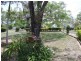 19 Rieck Street, Gin Gin QLD 4671