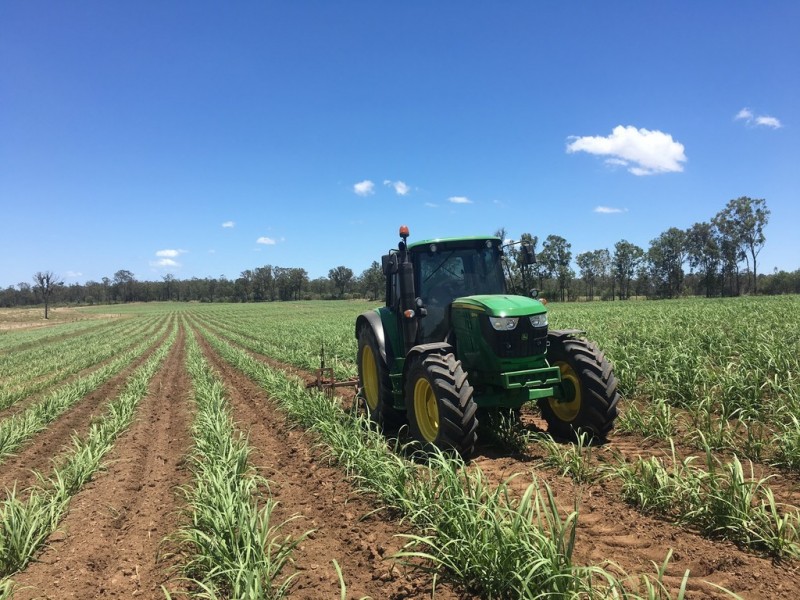 256 Drinan Rd, Wallaville QLD 4671