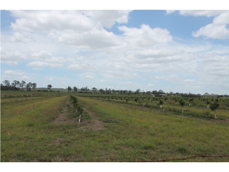 256 Drinan Rd, Wallaville QLD 4671