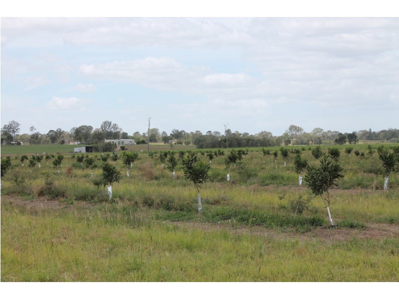 256 Drinan Rd, Wallaville QLD 4671