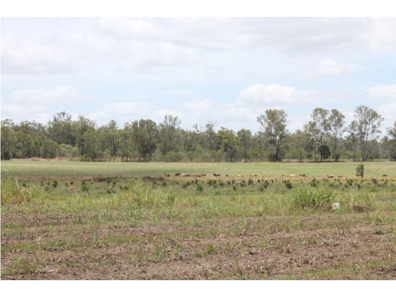 256 Drinan Rd, Wallaville QLD 4671