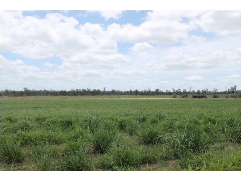 256 Drinan Rd, Wallaville QLD 4671