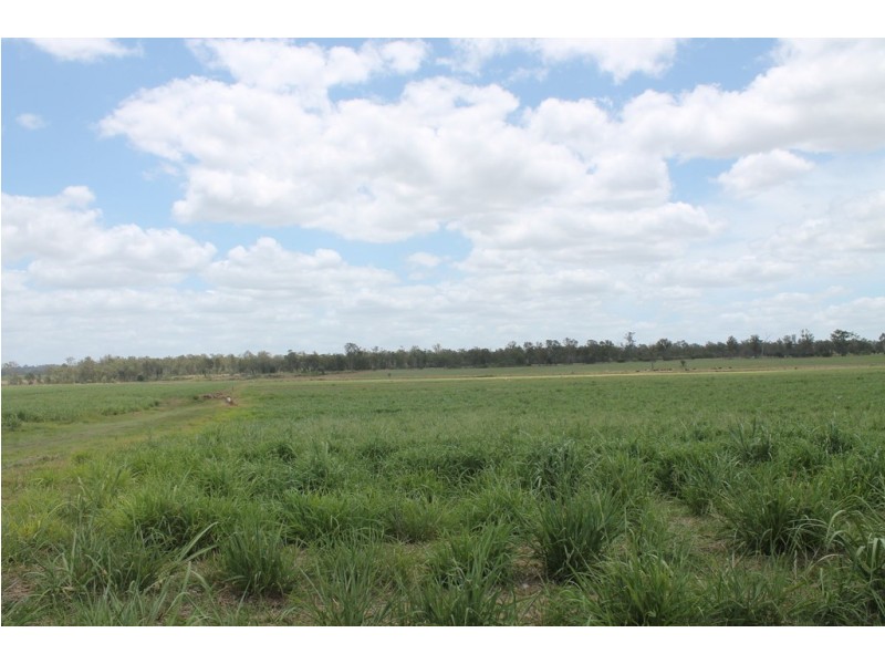 256 Drinan Rd, Wallaville QLD 4671