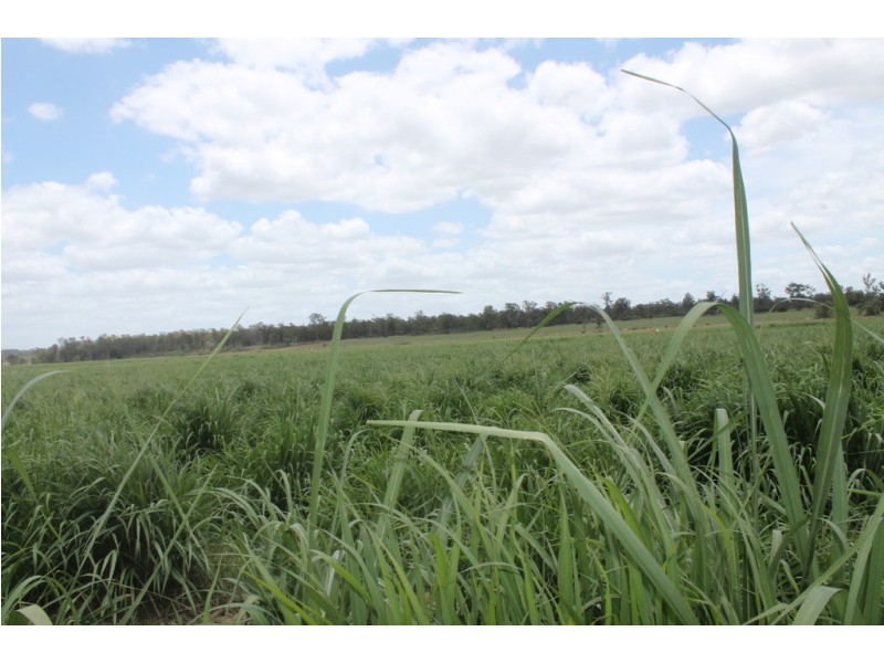 256 Drinan Rd, Wallaville QLD 4671