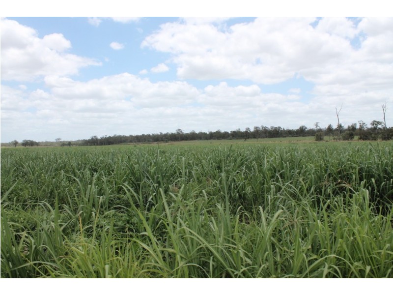 256 Drinan Rd, Wallaville QLD 4671