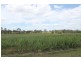 256 Drinan Rd, Wallaville QLD 4671