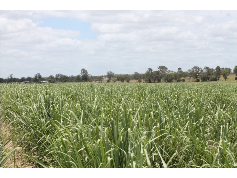 256 Drinan Rd, Wallaville QLD 4671