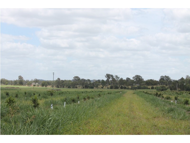 256 Drinan Rd, Wallaville QLD 4671